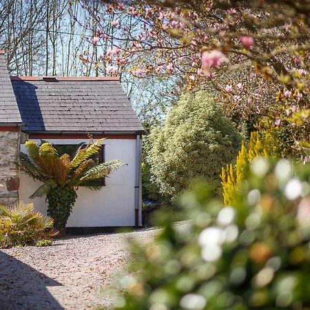 The Snug At Cornish Barn Holidays Truro Extérieur photo