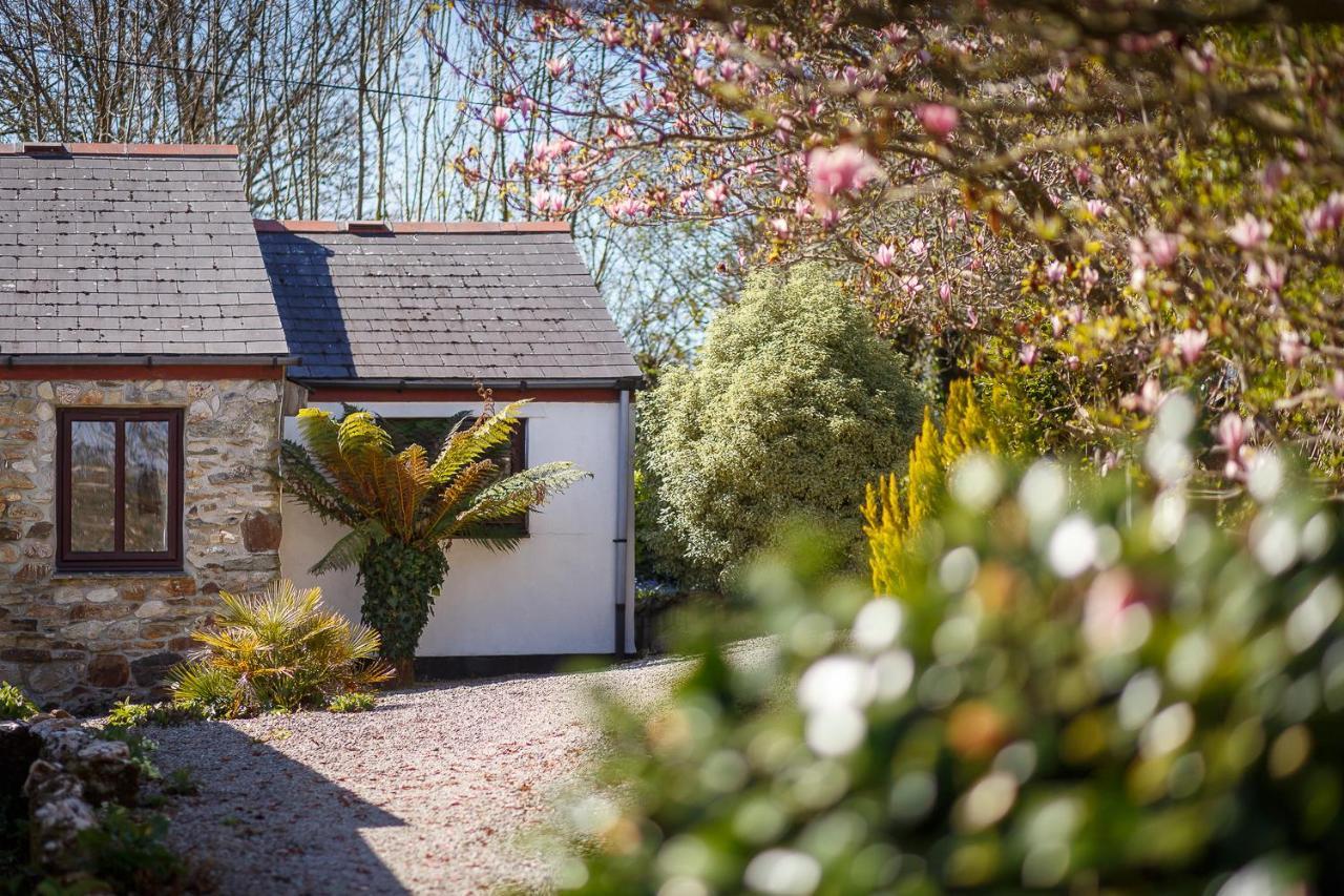 The Snug At Cornish Barn Holidays Truro Extérieur photo